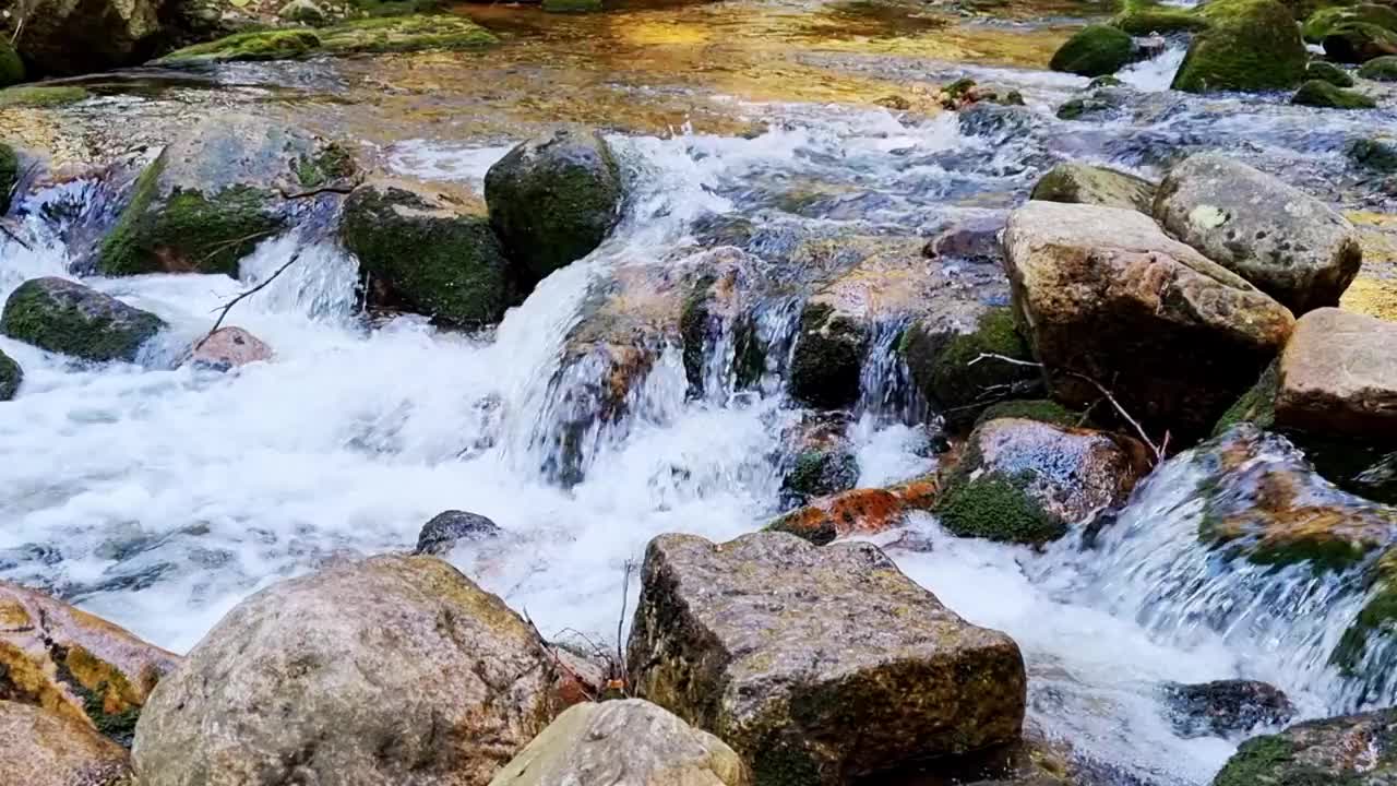 一条小河从森林的石头上流过视频素材