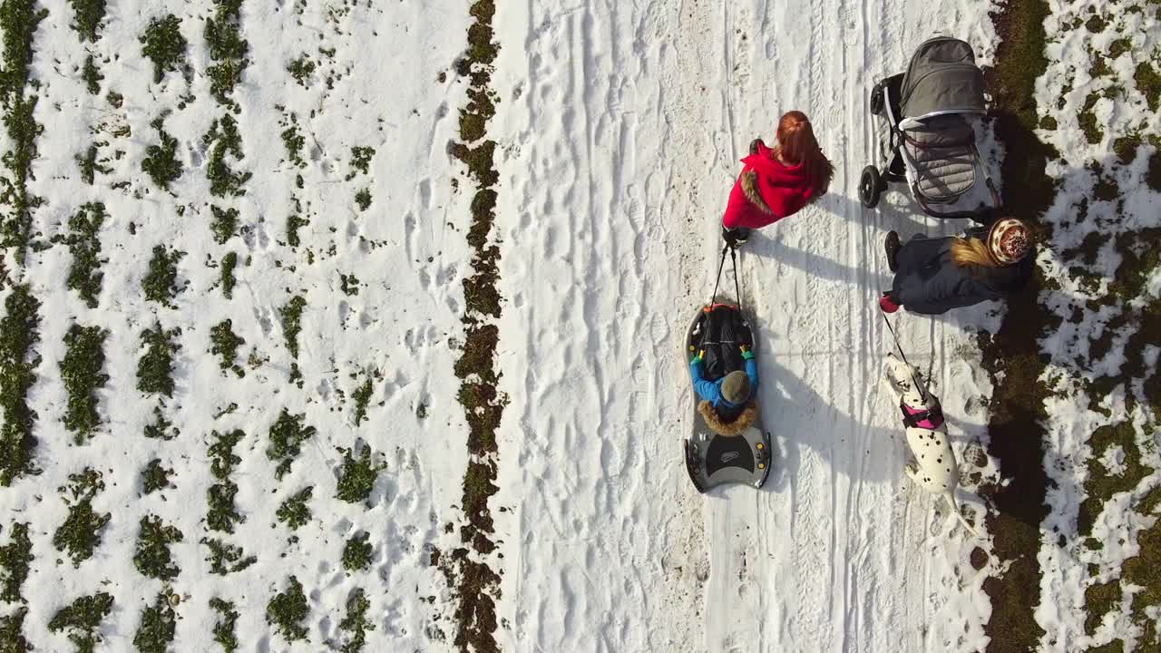 下雪的冬天走了视频素材