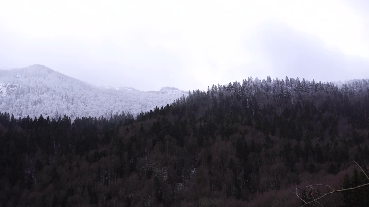 戈拉生物公园里森林覆盖的山脉视频素材