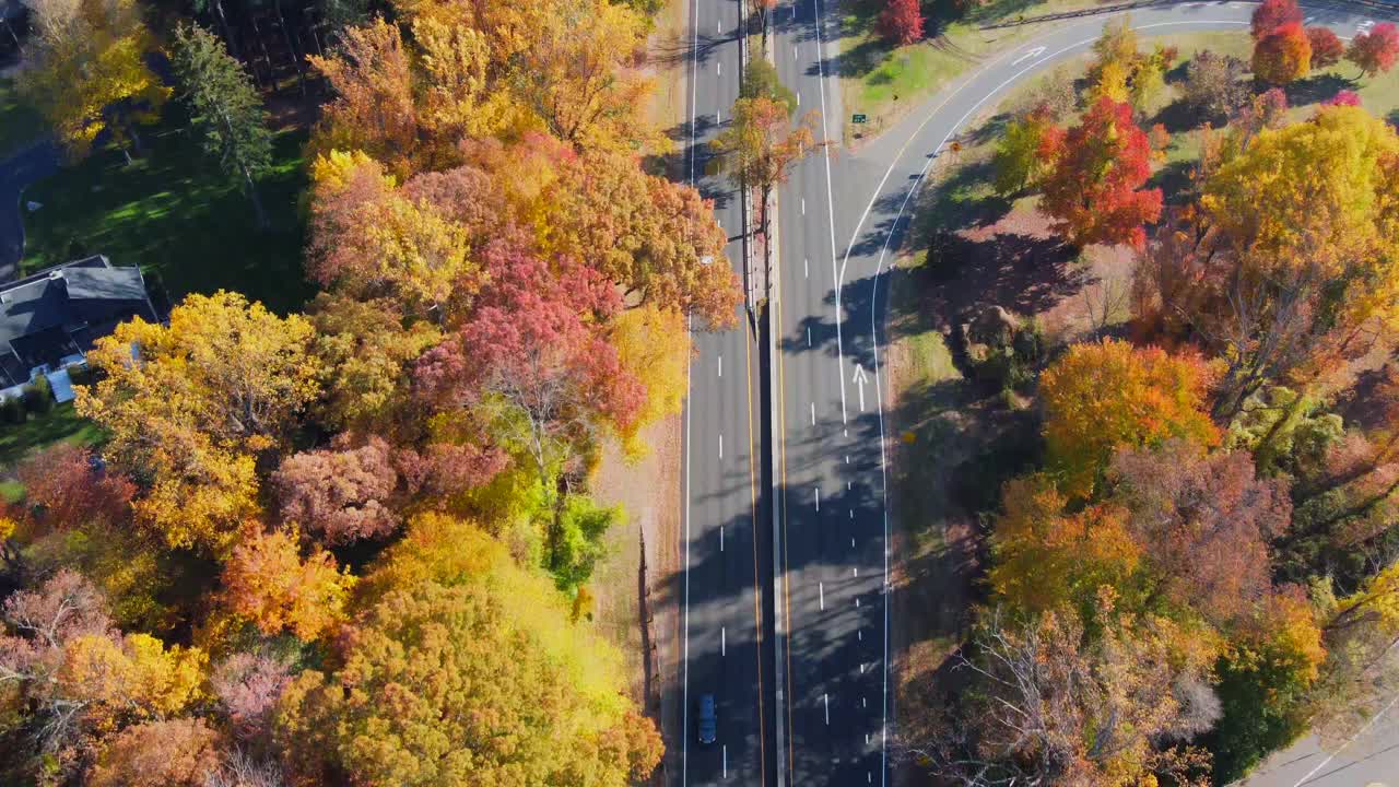 道路在秋天的景观，在森林中树木的各种颜色的叶子视频素材