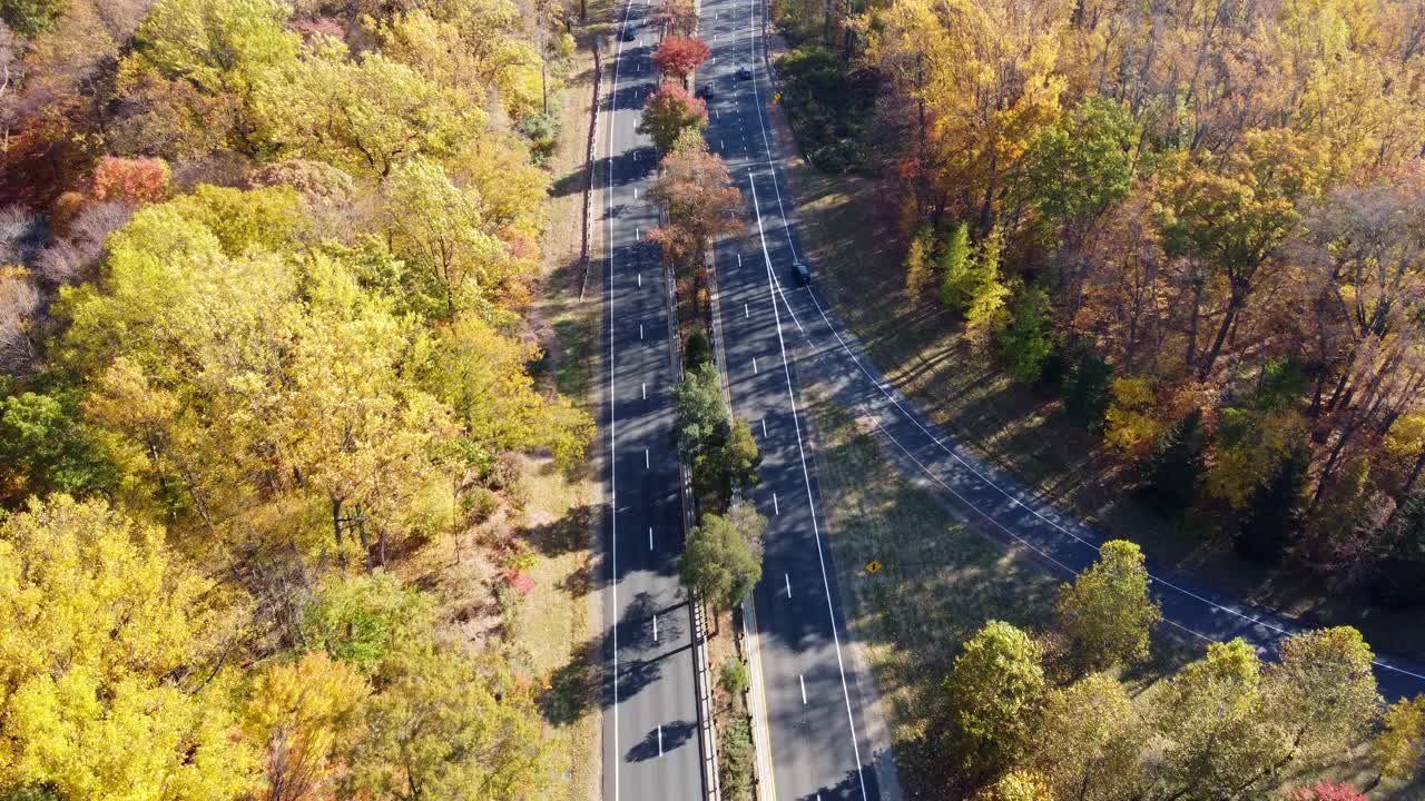 道路穿过秋天的森林，汽车在阳光照耀下五颜六色的树木周围行驶视频素材