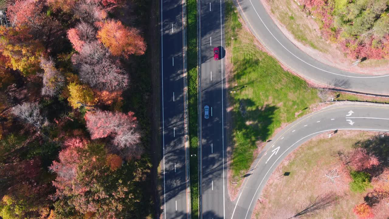 多车道的道路穿过秋天的森林，明亮的阳光照亮了树上五颜六色的叶子视频素材