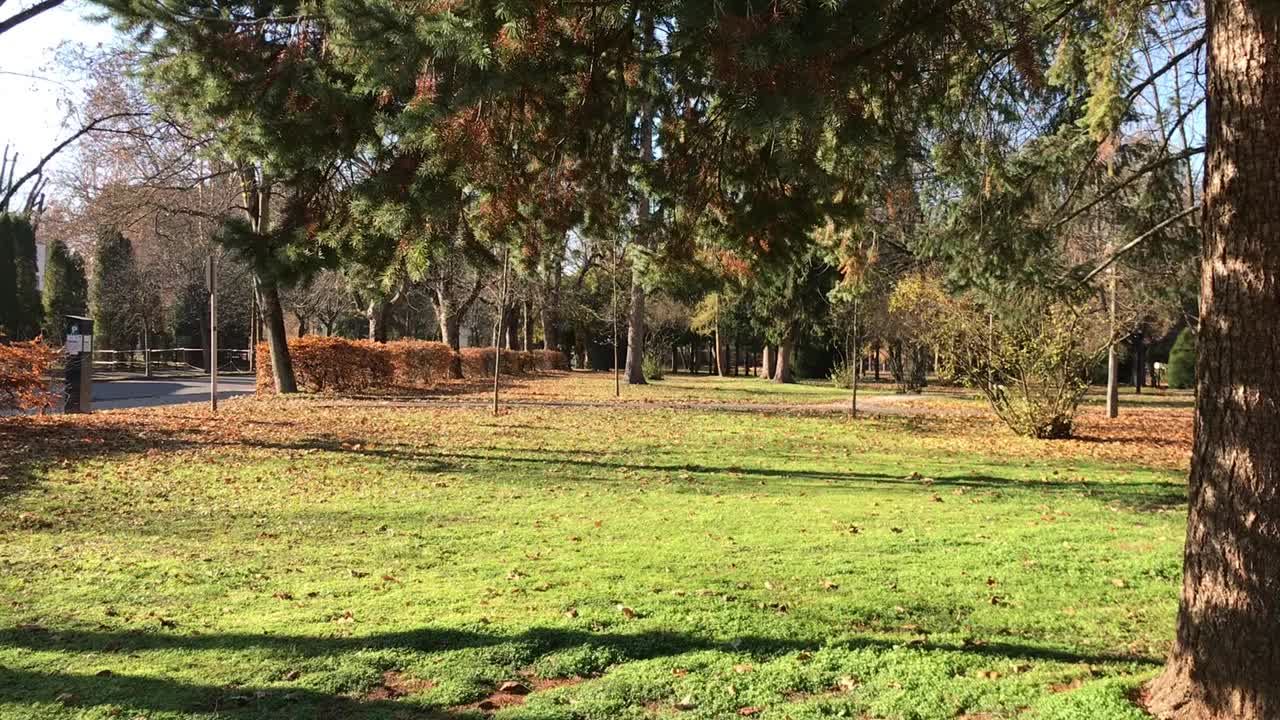 秋天公园蓝天乡村风景小镇风景Kaposvár Somogy匈牙利欧洲视频素材