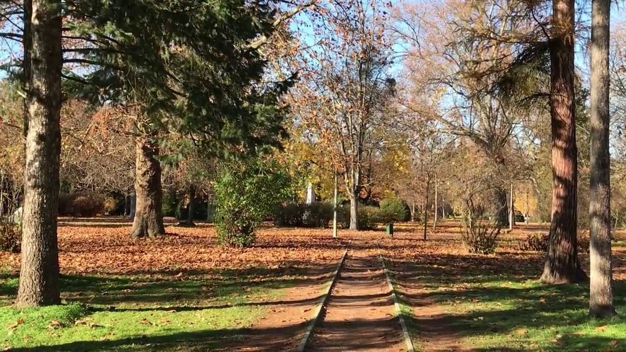 秋天公园蓝天乡村风景小镇风景Kaposvár Somogy匈牙利欧洲视频素材