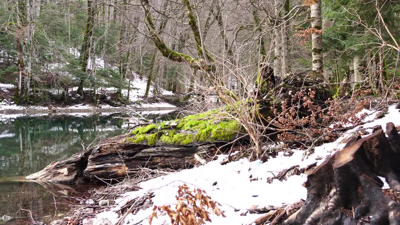 在生物葛拉斯卡国家公园里，这个湖位于被雪覆盖的群山之中视频素材