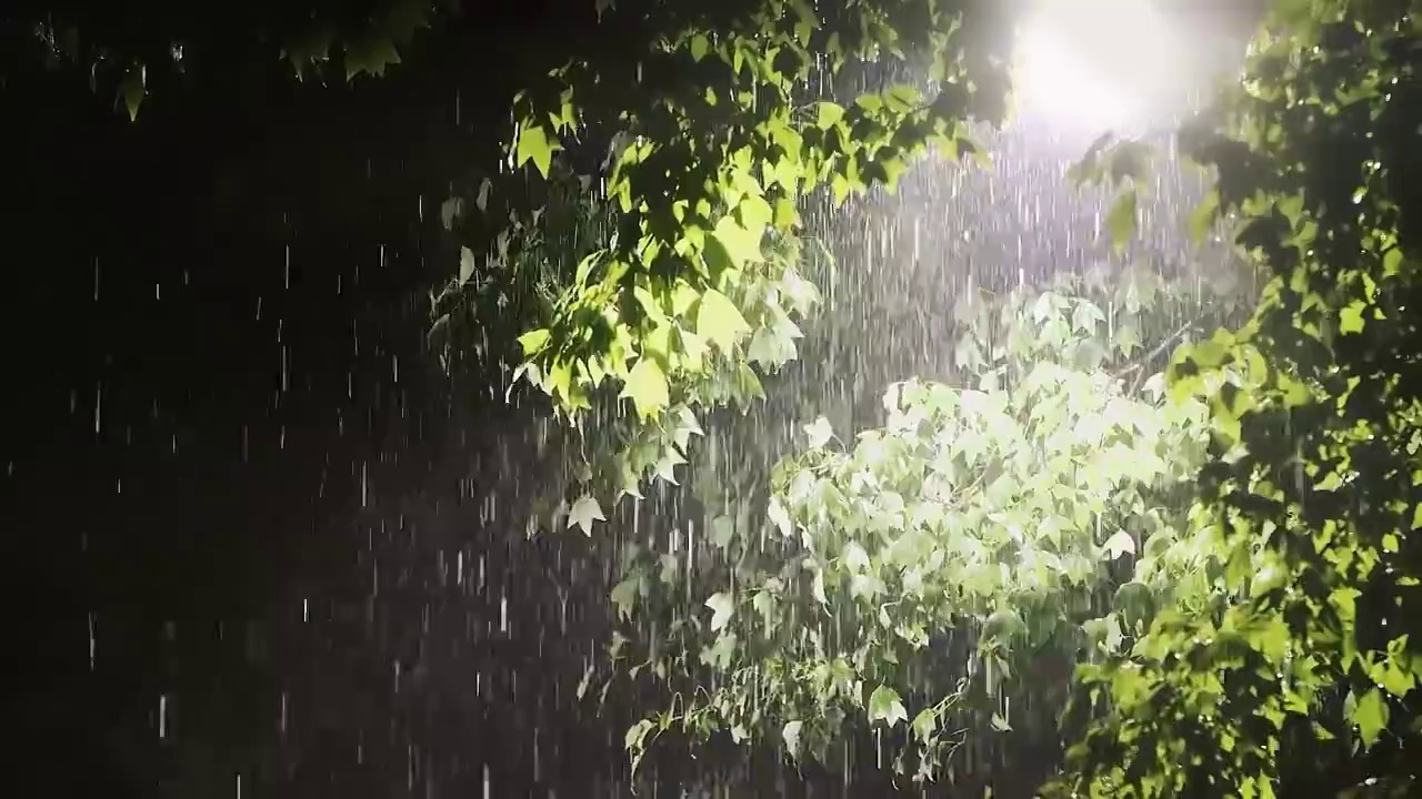 暴风雨前夜——一个夏天的夜晚，打雷、大雨和闪电视频素材