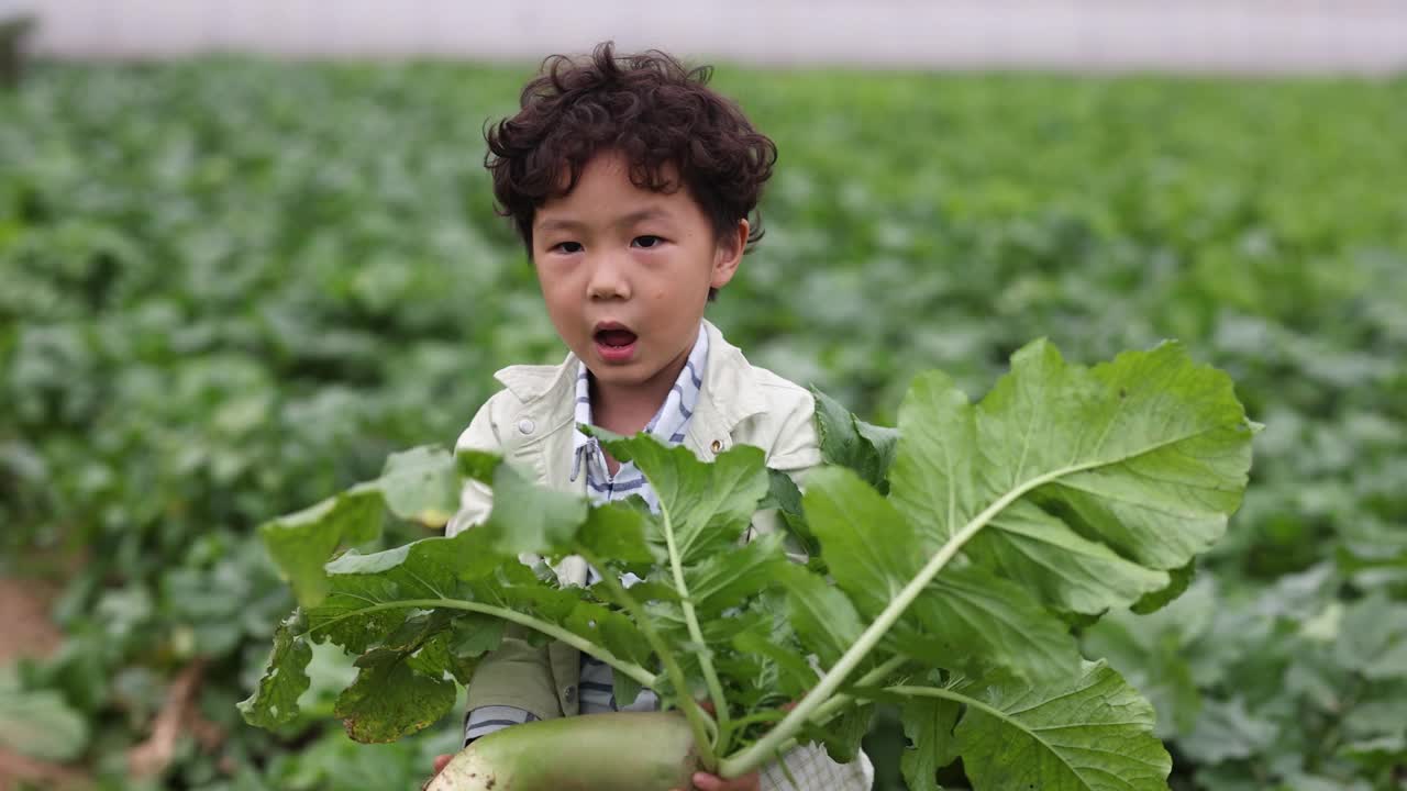 男孩在农田里摘东西视频素材