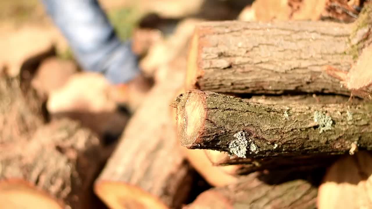 男人切松树视频素材