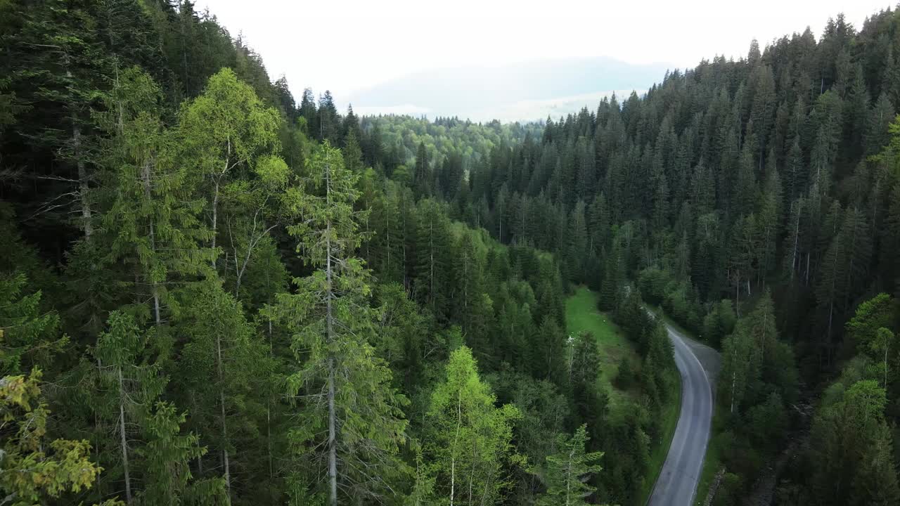 乌克兰喀尔巴阡山脉:美丽的山林景观。空中视频素材