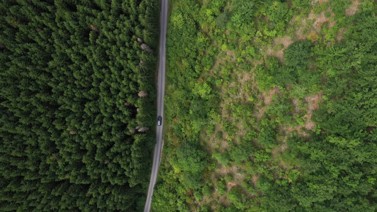 穿越森林的公路旅行视频素材