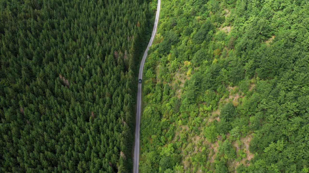 穿越森林的公路旅行视频素材