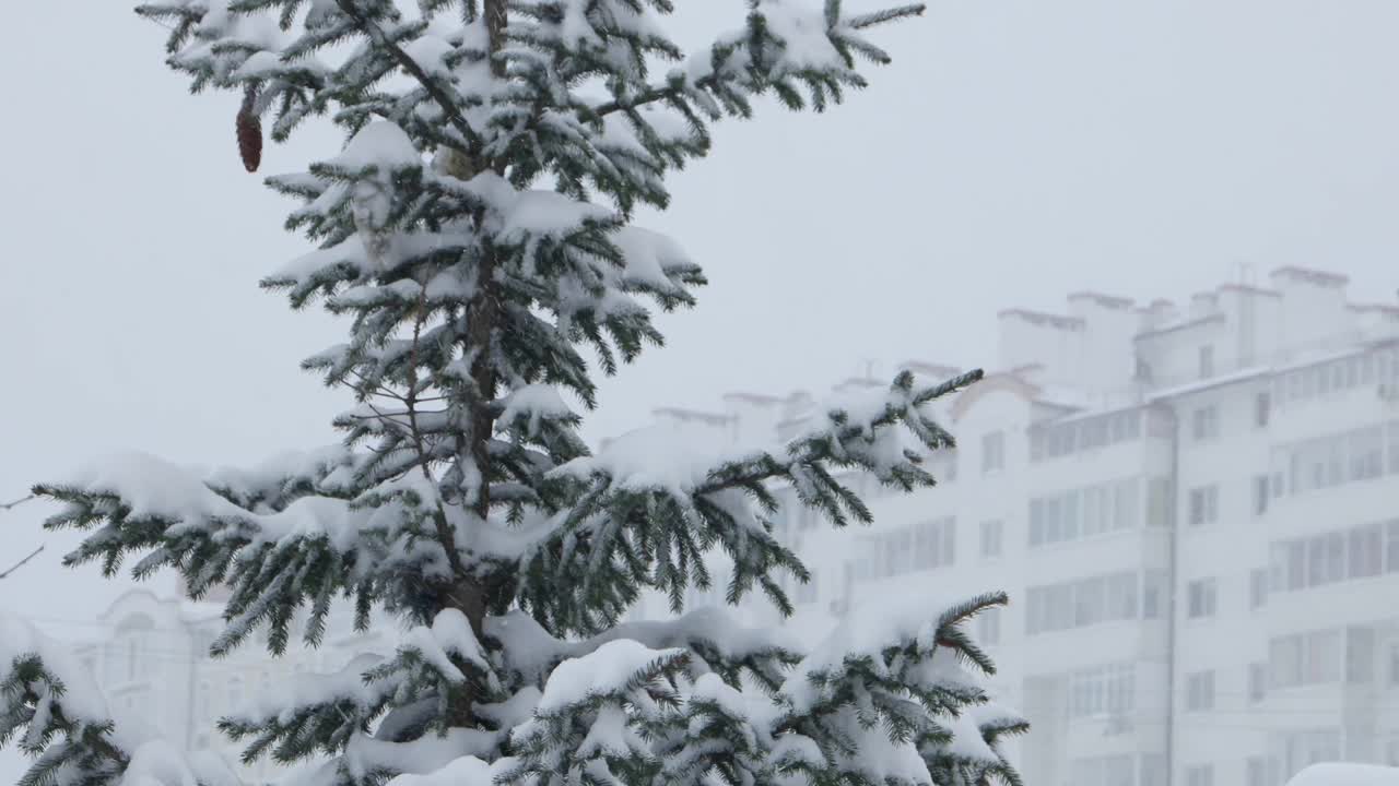 大雪纷飞的城市，风景、背景视频素材