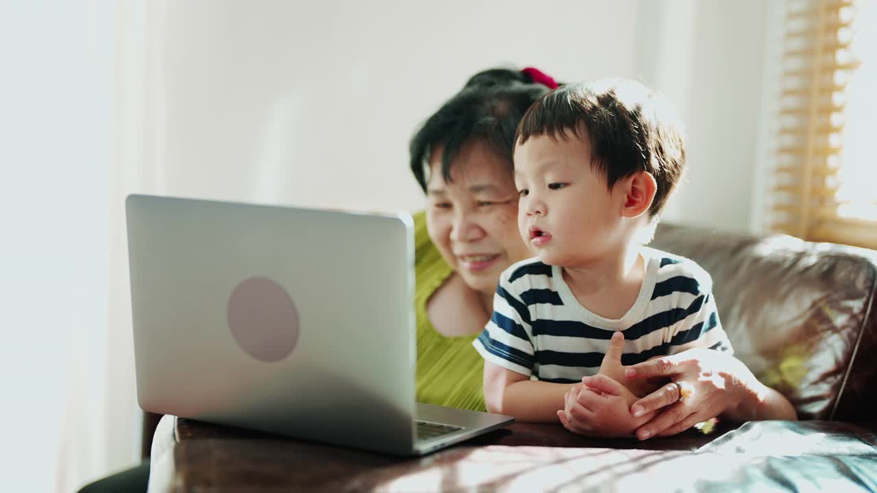 慈祥奶奶陪孙子看网上学习资料。视频素材