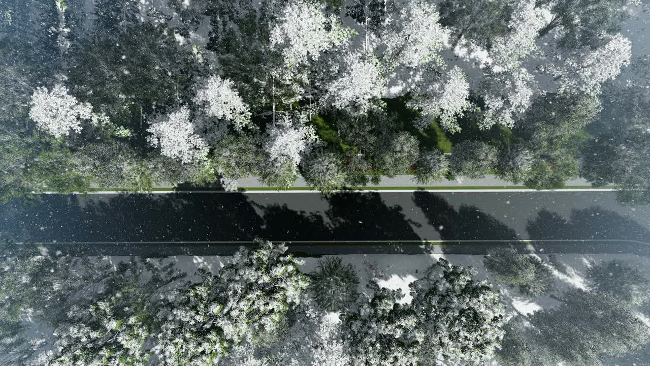 雪落在红色跑车和卡车上行驶在道路上视频素材