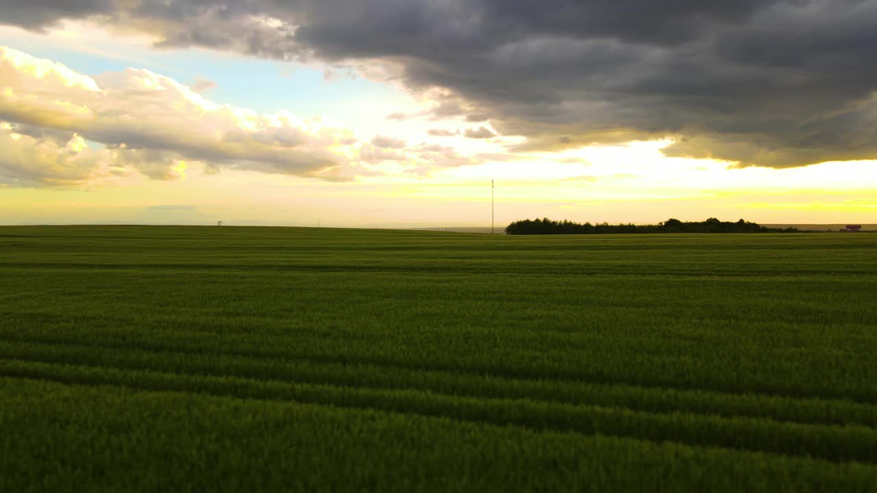 在明亮的夏夜，绿色耕地和正在生长的农作物的空中景观视频素材