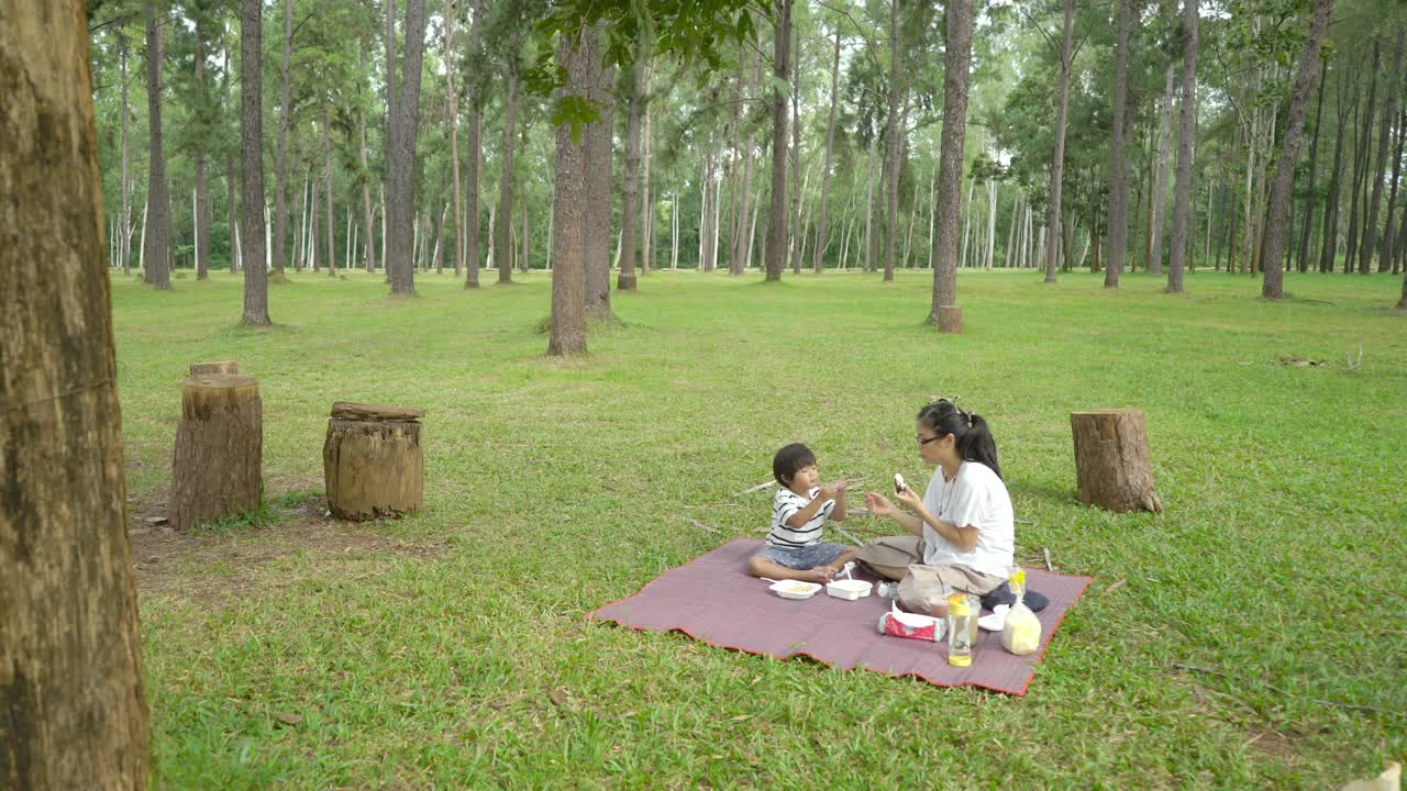 亚洲家庭在节日期间一起在松树公园野餐视频素材