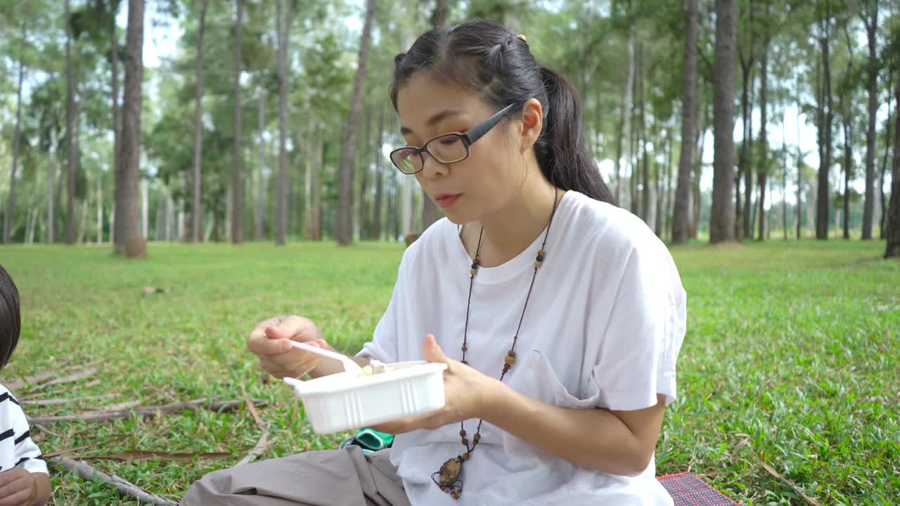 亚洲家庭在节日期间一起在松树公园野餐视频素材