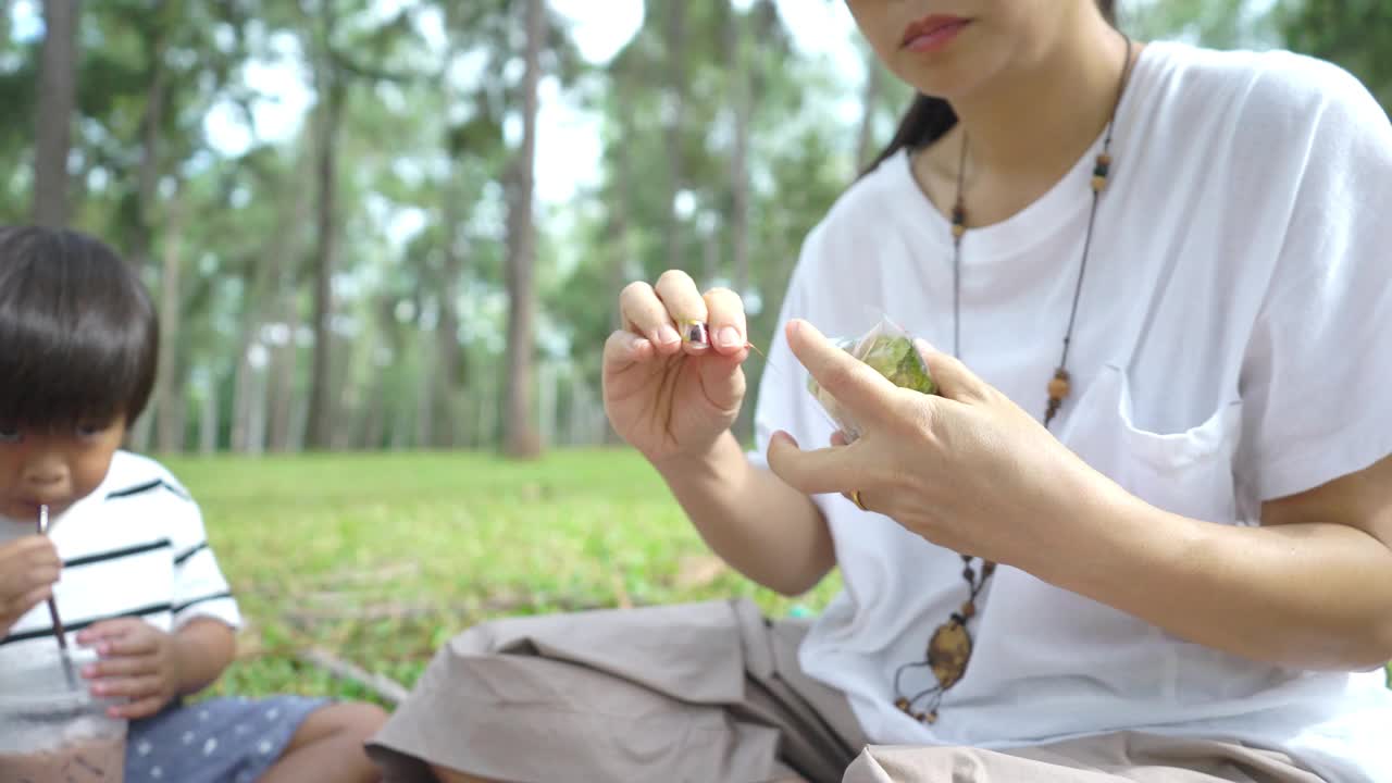 亚洲家庭在节日期间一起在松树公园野餐视频素材