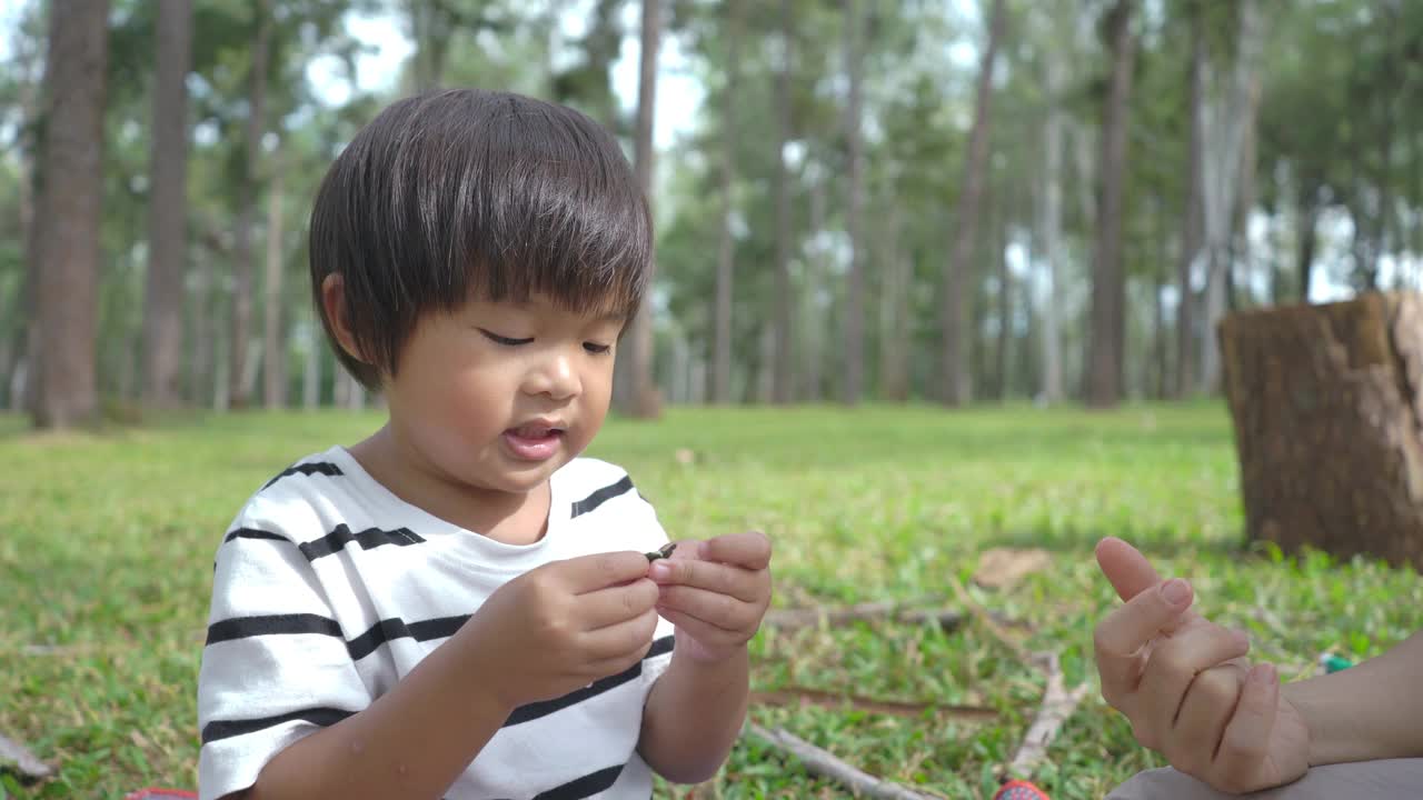 亚洲家庭在节日期间一起在松树公园野餐视频素材