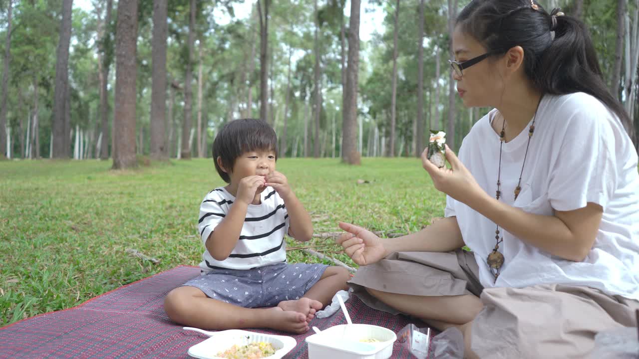 亚洲家庭在节日期间一起在松树公园野餐视频素材