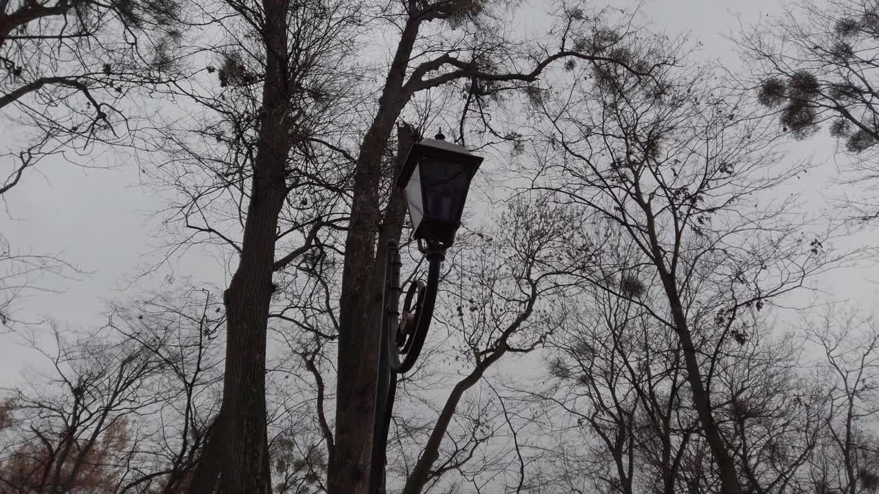 街灯以多云的秋天天空为背景。视频素材