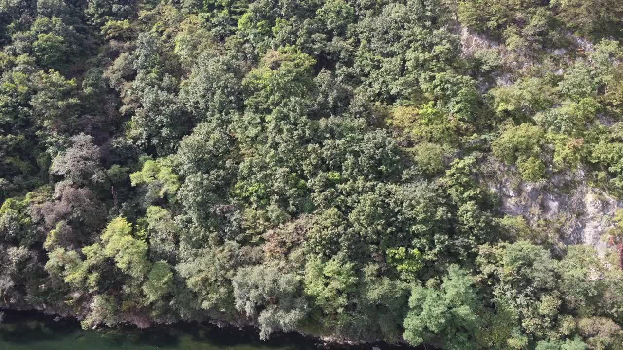 韩国江原道宁越郡Gimsatgat郡的河流风景视频素材