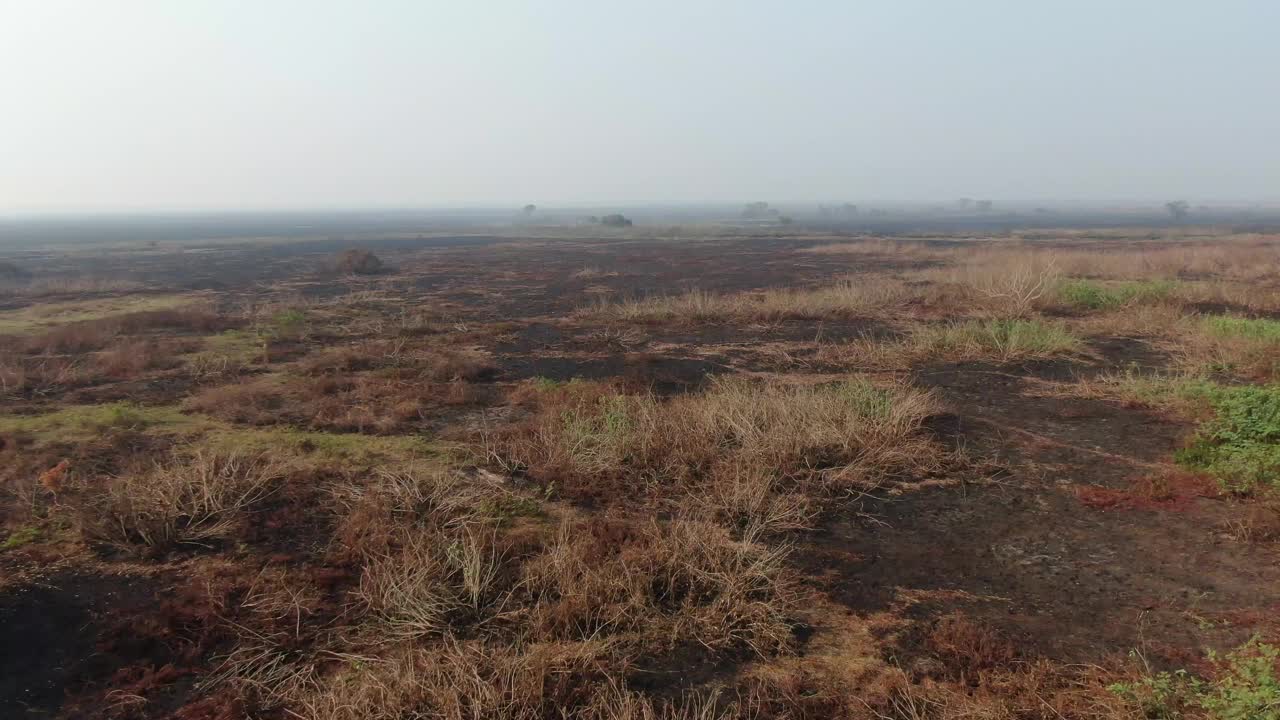 在潘塔纳尔巴西地区使用无人机飞行，经过桥梁和河流，烧毁植被视频素材