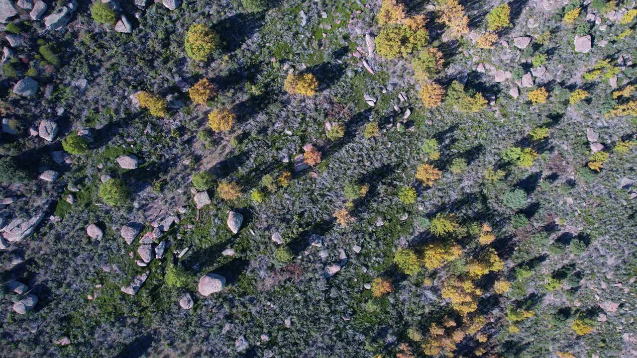 鸟瞰Sierra de Albarracín地区Ródenas镇附近的Peracense城堡。特鲁埃尔省，阿拉贡自治社区，西班牙，欧洲视频素材