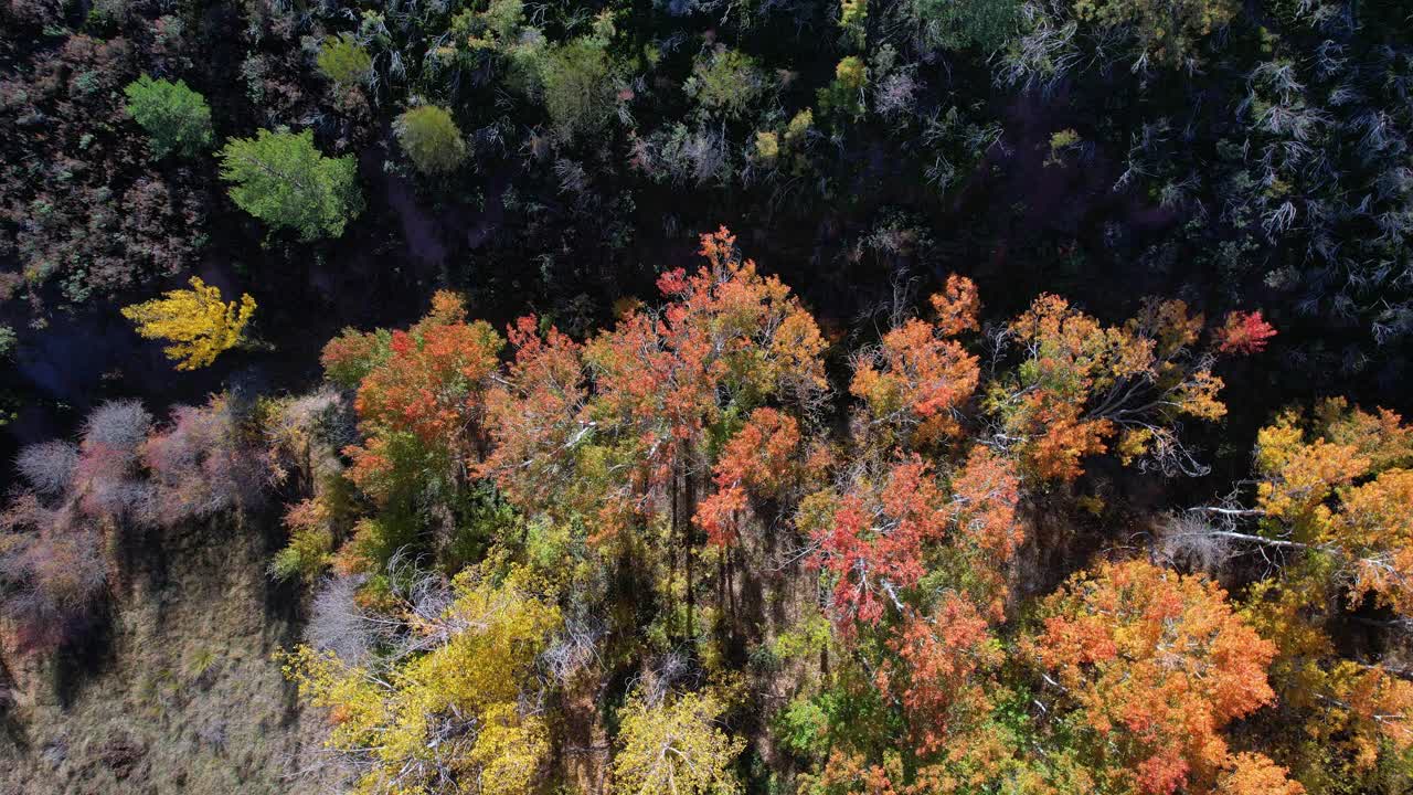 鸟瞰Sierra de Albarracín地区Ródenas镇附近的Peracense城堡。特鲁埃尔省，阿拉贡自治社区，西班牙，欧洲视频素材