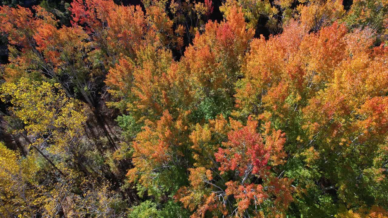 鸟瞰Sierra de Albarracín地区Ródenas镇附近的Peracense城堡。特鲁埃尔省，阿拉贡自治社区，西班牙，欧洲视频素材