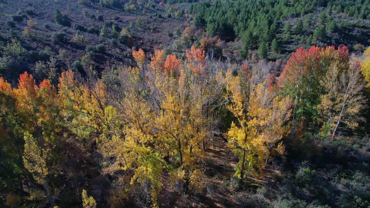 鸟瞰Sierra de Albarracín地区Ródenas镇附近的Peracense城堡。特鲁埃尔省，阿拉贡自治社区，西班牙，欧洲视频素材