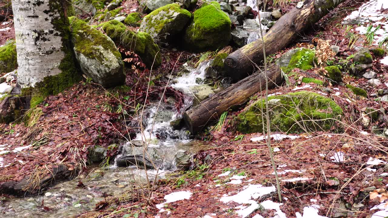 在戈拉生物公园里，一条小溪从山上流下来视频素材