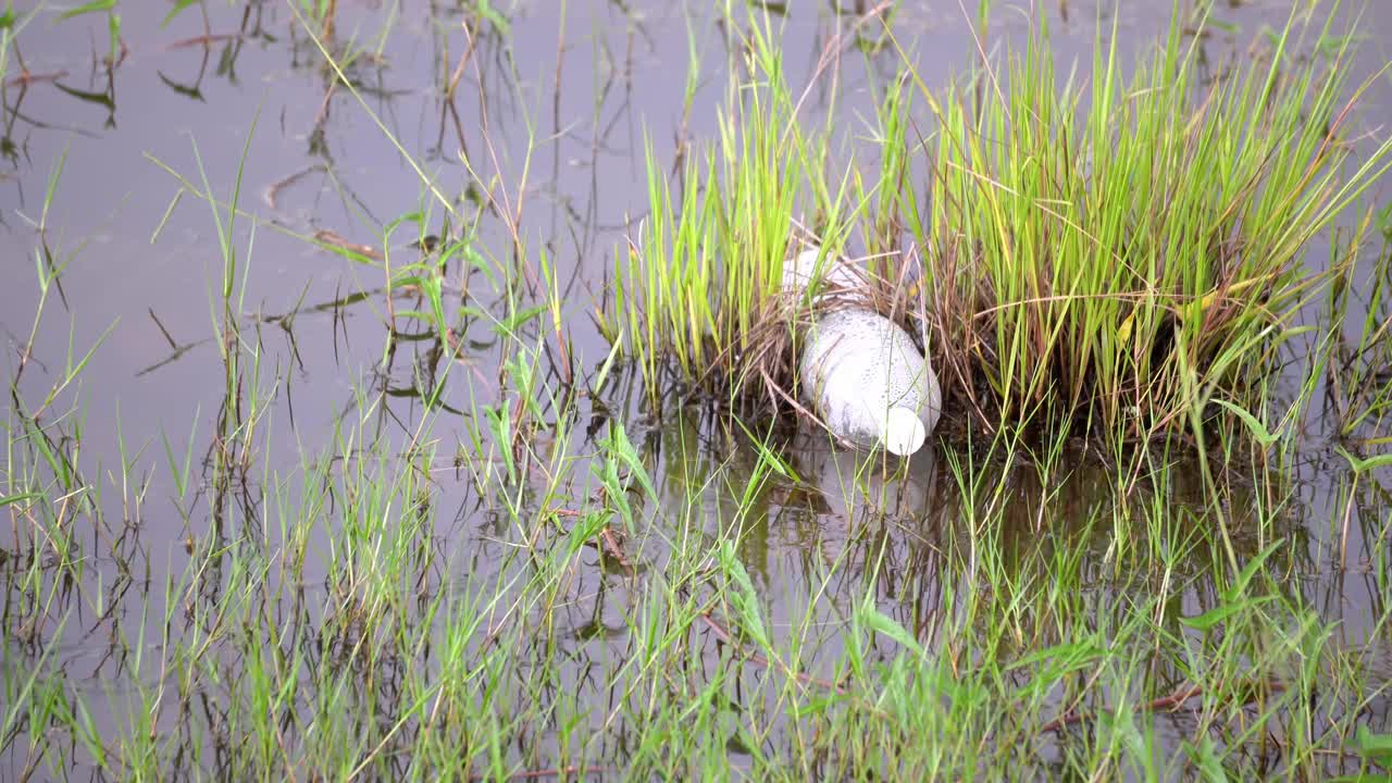 鸟瞰图，雨滴下落视频素材