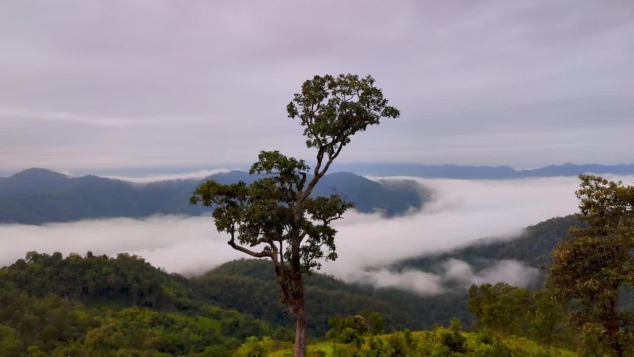 时间推移视频4k，一个雾蒙蒙的早晨的景色在Huay Kub Kab村，在泰国北部清迈视频素材