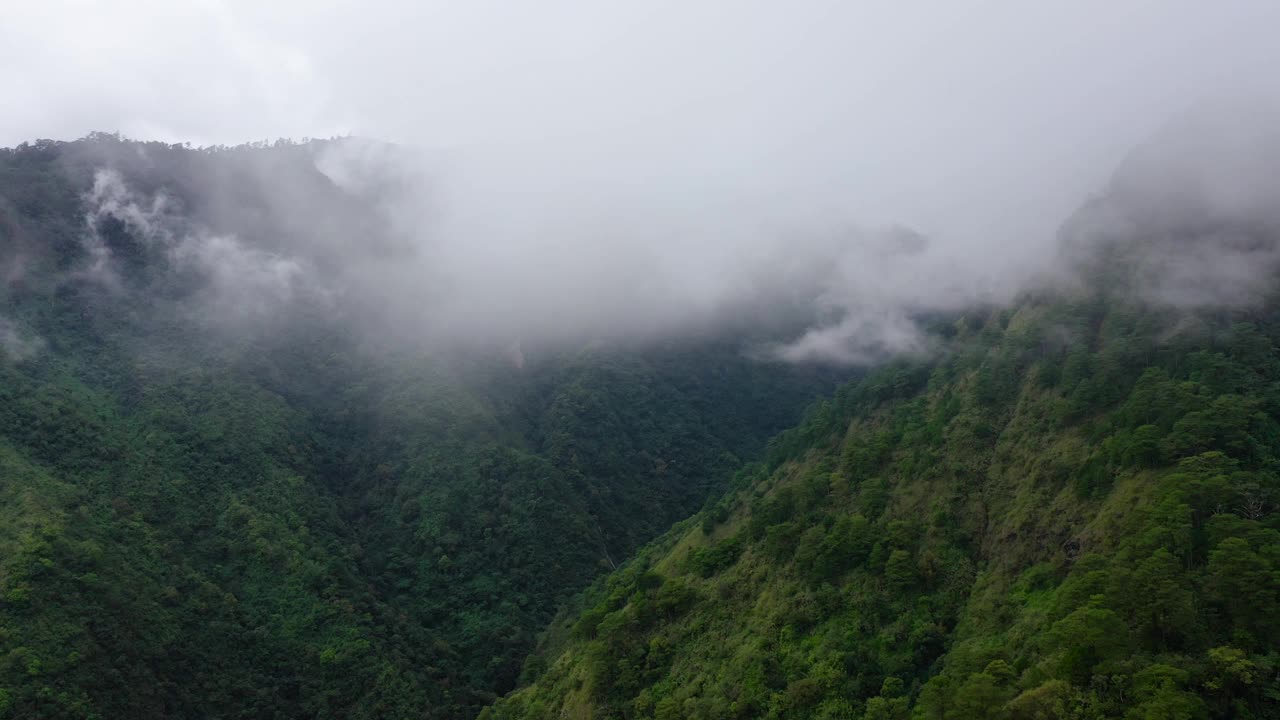 雨云覆盖了绿色森林山的山顶。热带气候中的雨云视频素材