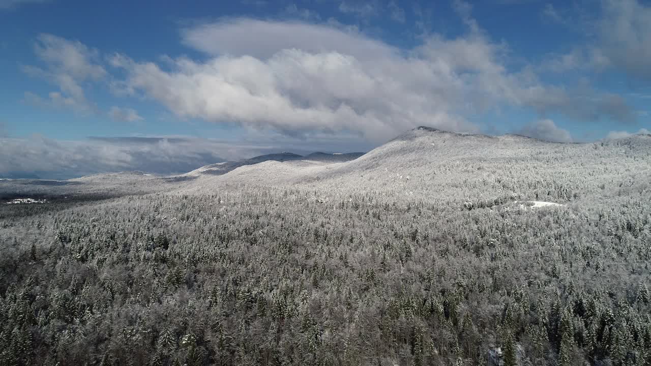 无人机的视角是一片巨大的松树林后的暴风雪视频素材