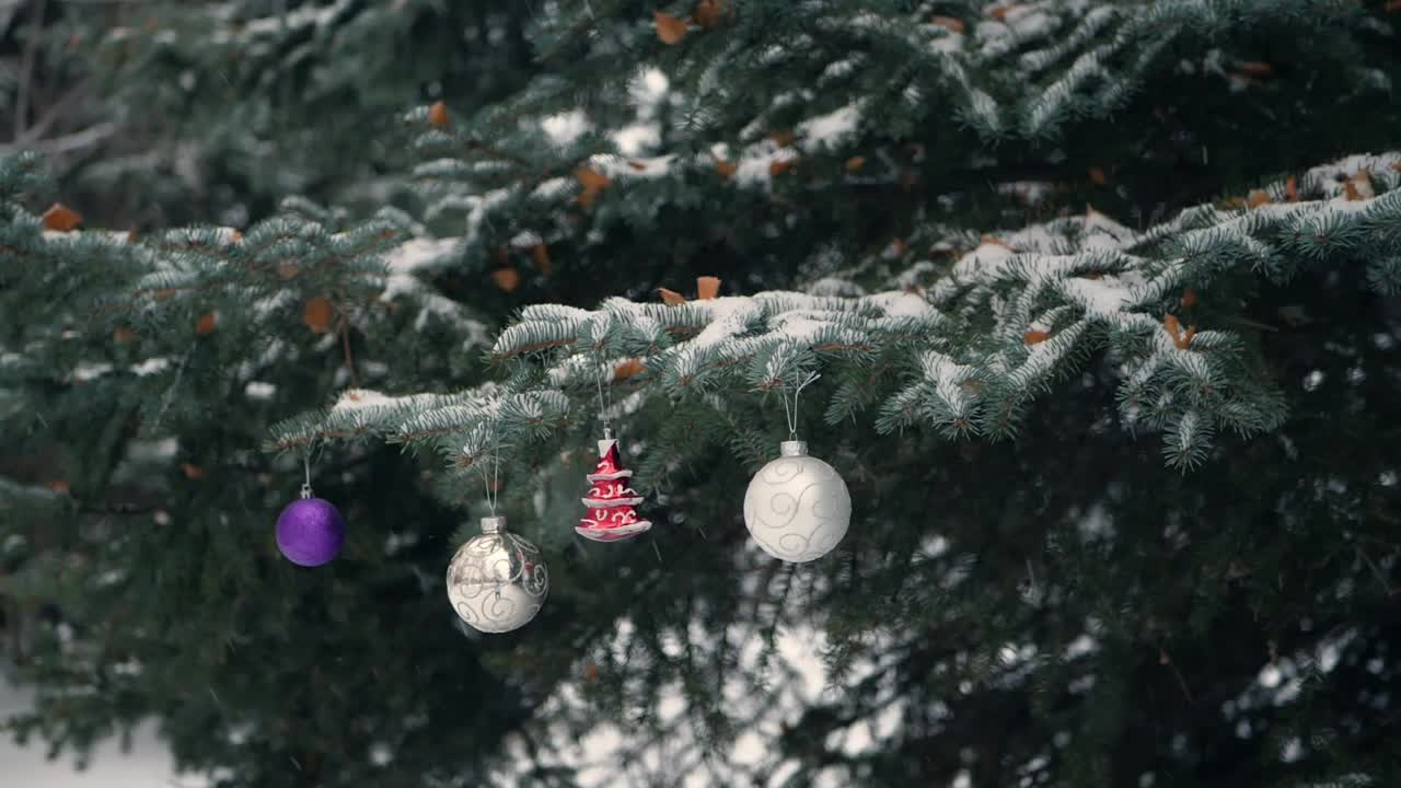 雪花落在树枝上的圣诞树下，冬夜户外，慢动作视频素材