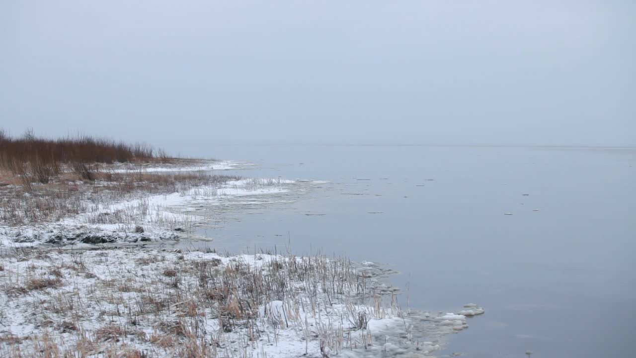 湖岸边冬季景观覆盖着皑皑白雪视频素材