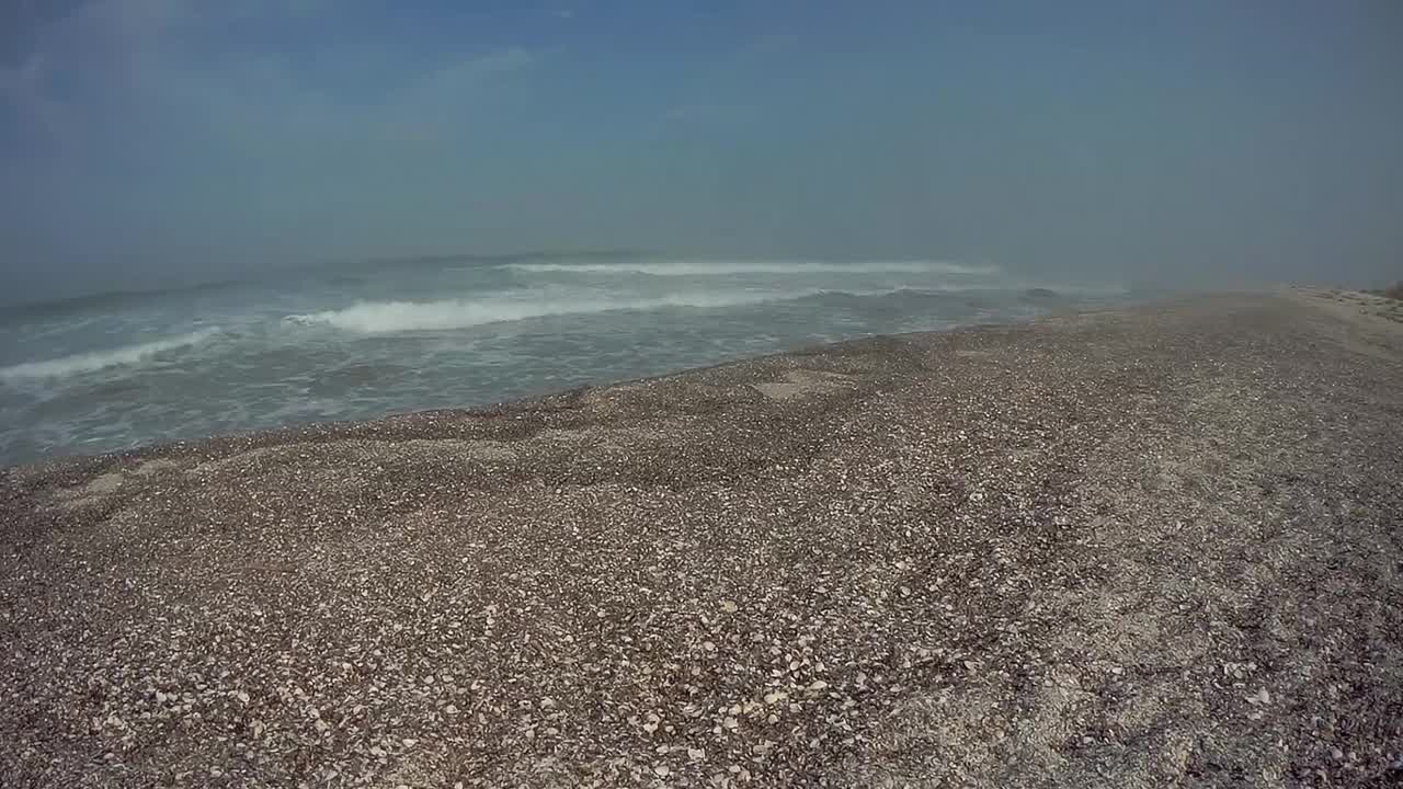 里海的贝壳海岸。视频素材