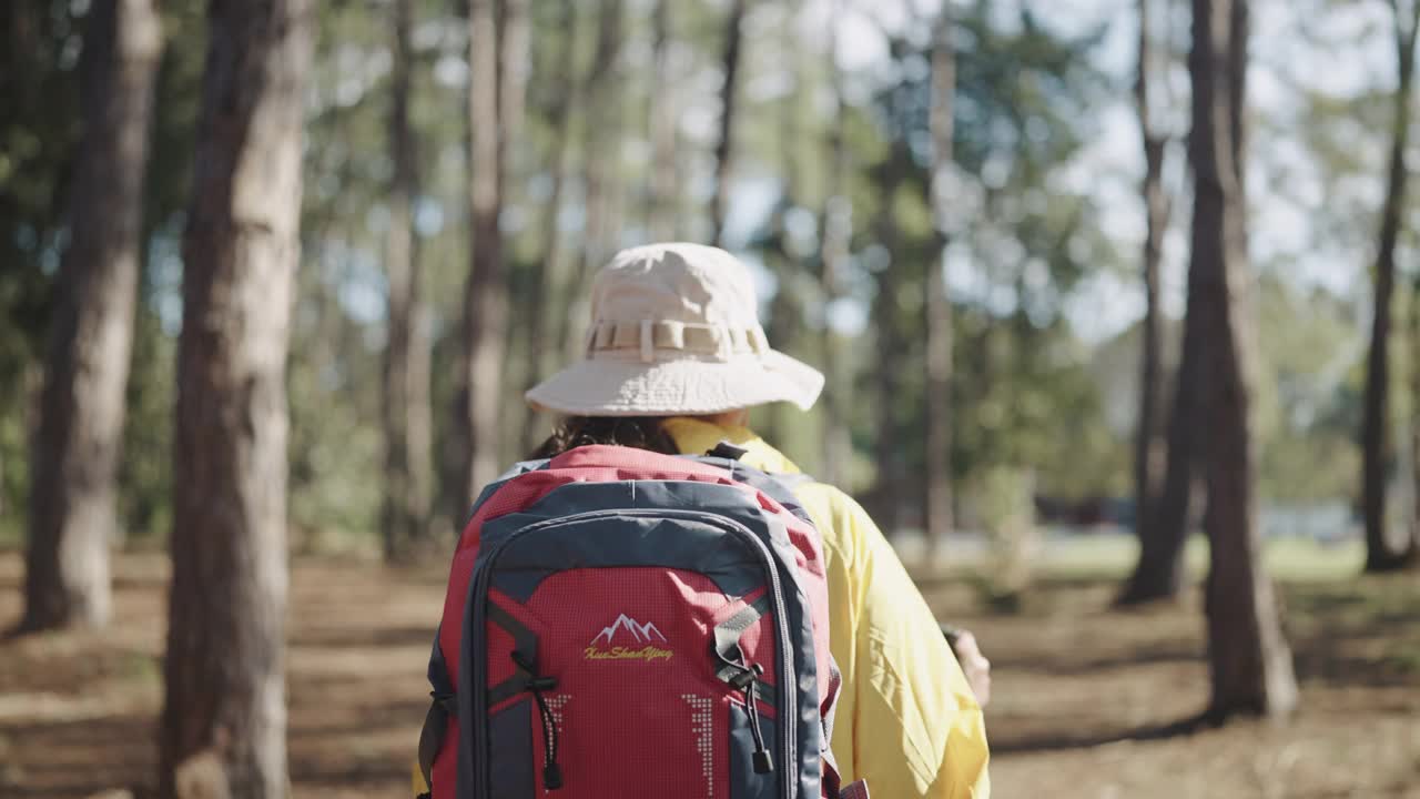 背包客和登山杆徒步旅行在松树林视频素材