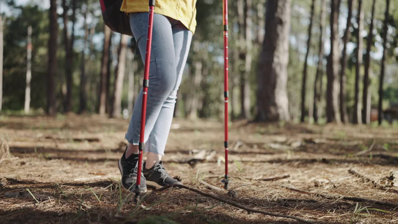 背包客和登山杆徒步旅行在松树林视频素材