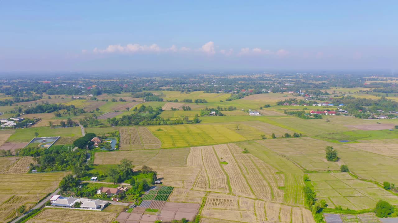 鸟瞰新鲜水稻，绿色农田在农村或农村地区在亚洲。自然景观背景。视频素材