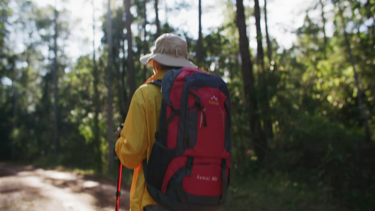 亚洲妇女徒步旅行和探索森林地区视频素材