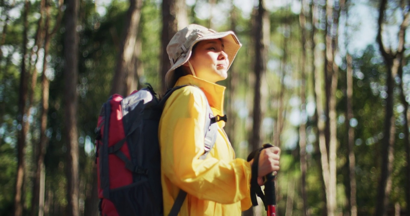 背包客和登山杆徒步旅行在松树林视频素材