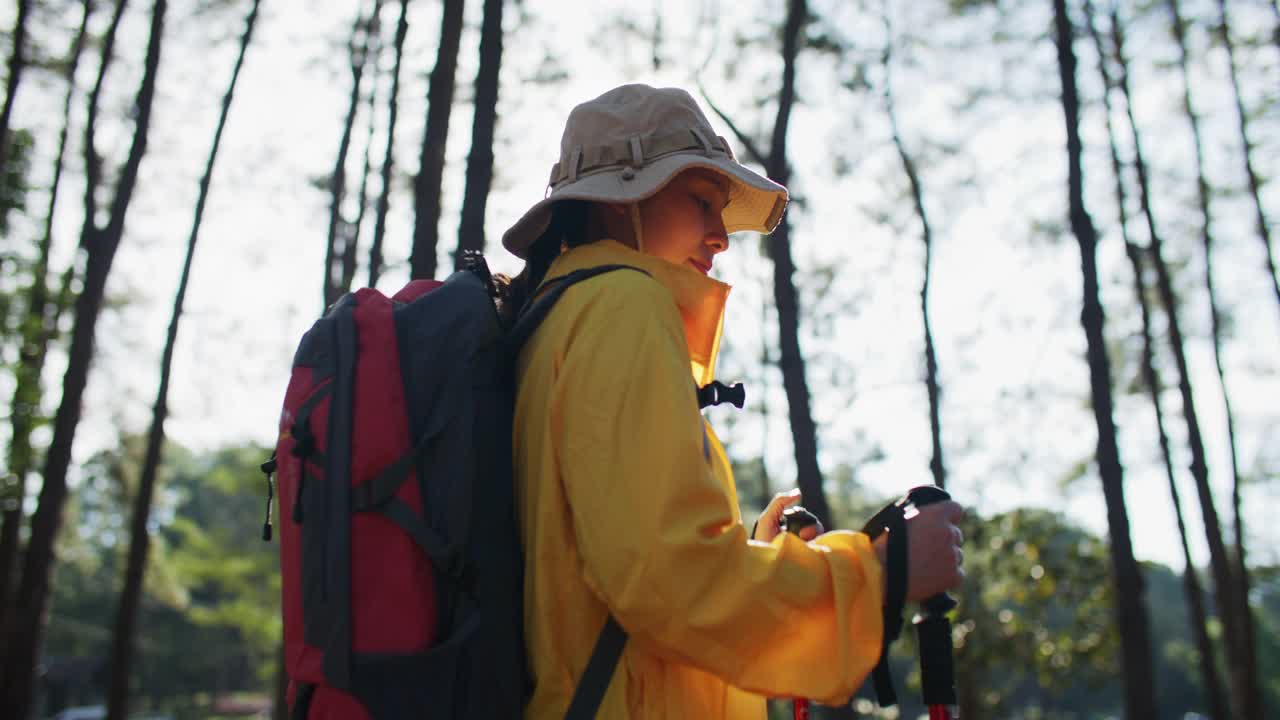 背包客和登山杆徒步旅行在松树林视频素材