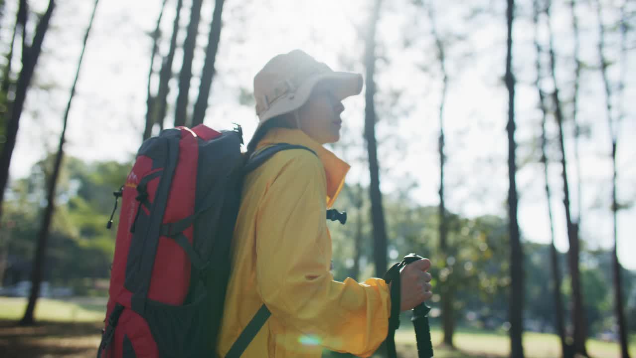 背包客和登山杆徒步旅行在松树林视频素材