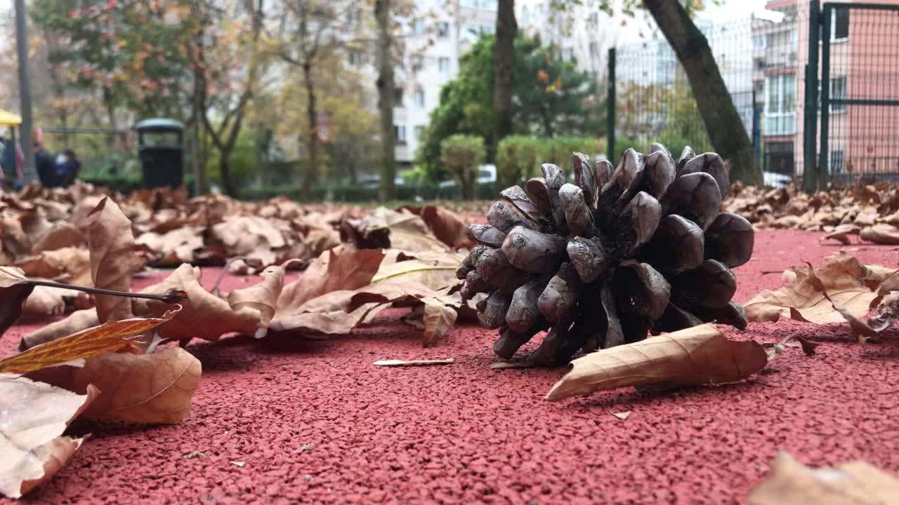 有风的秋日……叶子变黄，男人在公园里打电话视频下载