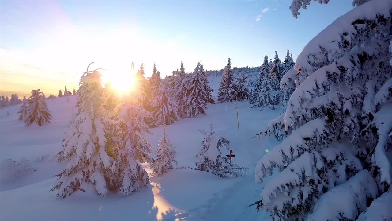 金色的阳光在美丽的冰冻森林与雪树在寒冷的蓝色冬天早晨自然景观在圣诞节时间视频素材