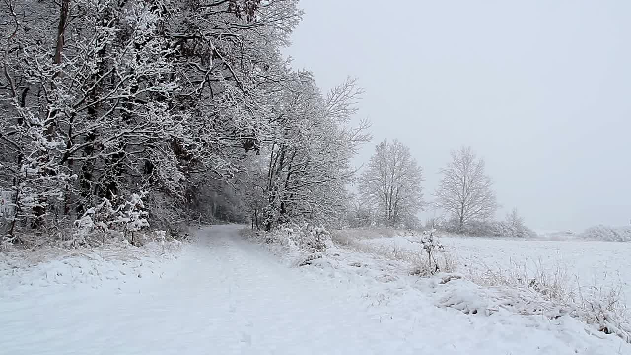 年轻的白人男子走在冬天积雪的山麓小径。捷克风景，后视图视频素材