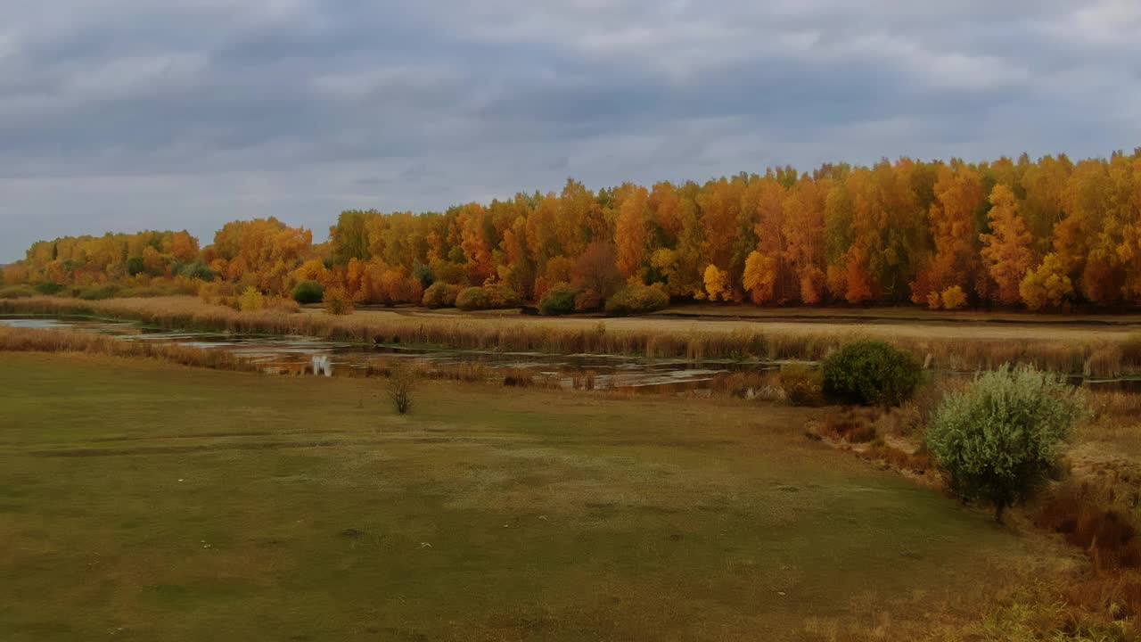 鸟瞰图，直升机飞过秋天的森林和湖泊。风景秀丽，乡村道路林野之间。秋天的本性。4 k, ProRes视频素材